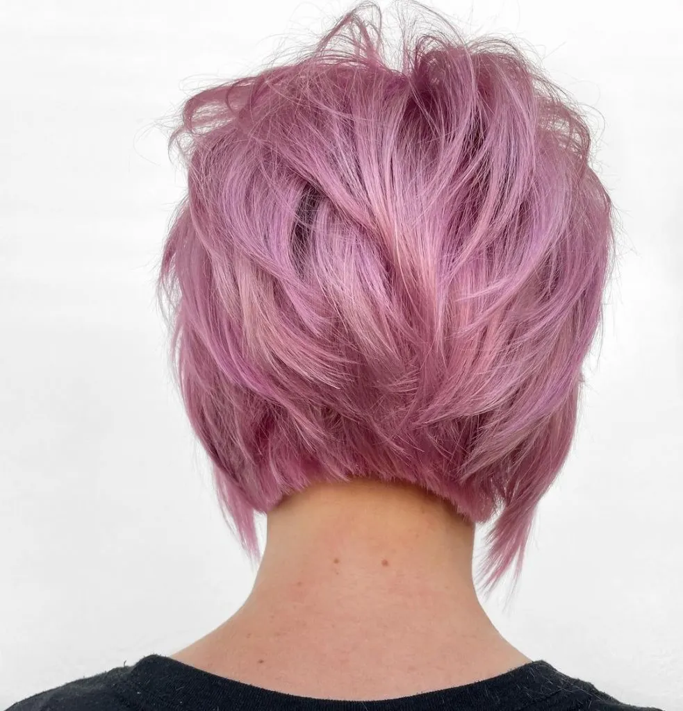 short stacked pixie bob