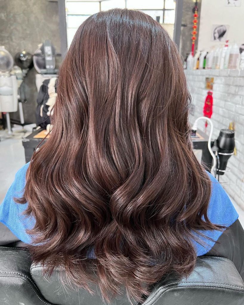 cheveux brun violet foncé