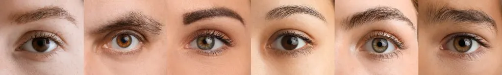shades of brown eyes