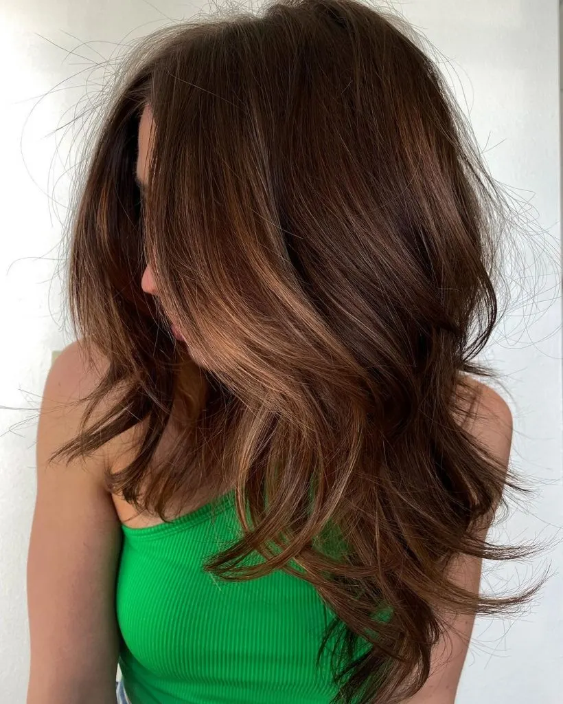 chestnut brown with face-framing highlights