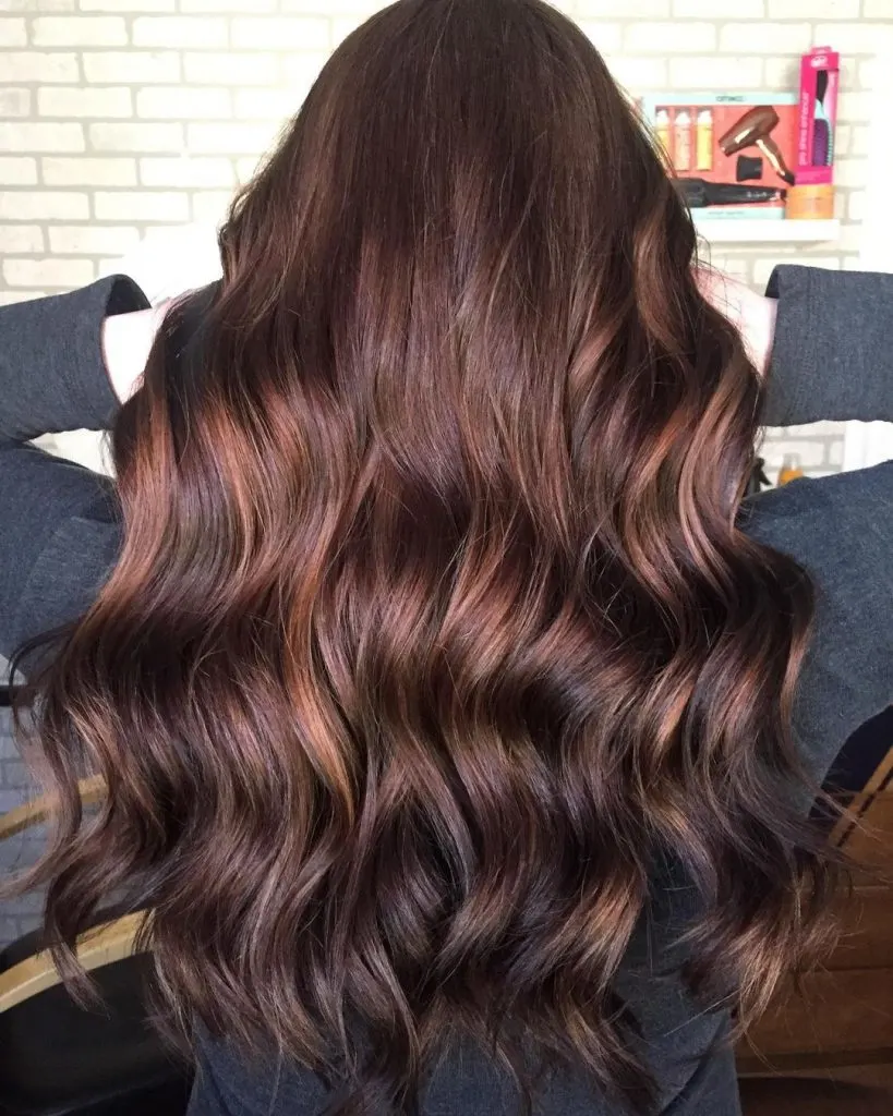 chocolate brown with chestnut highlights