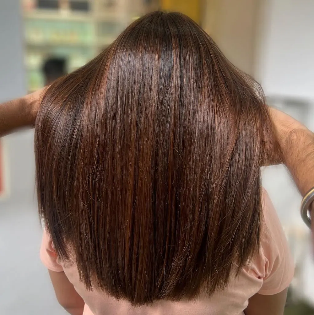 chestnut brown hair with highlights