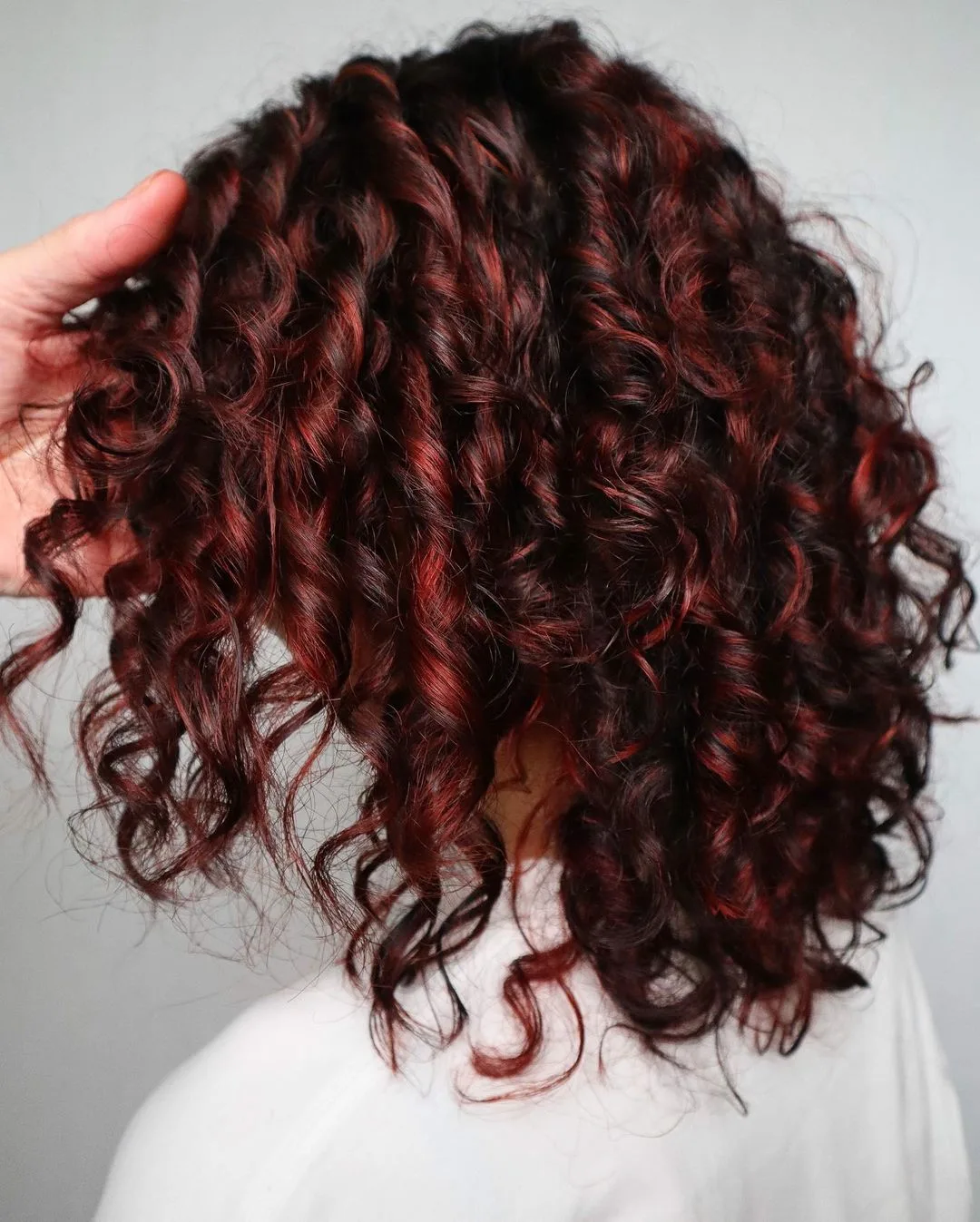 shoulder length curly hair with red highlights shown from behind