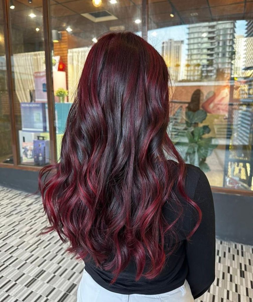 wine red highlights on black hair