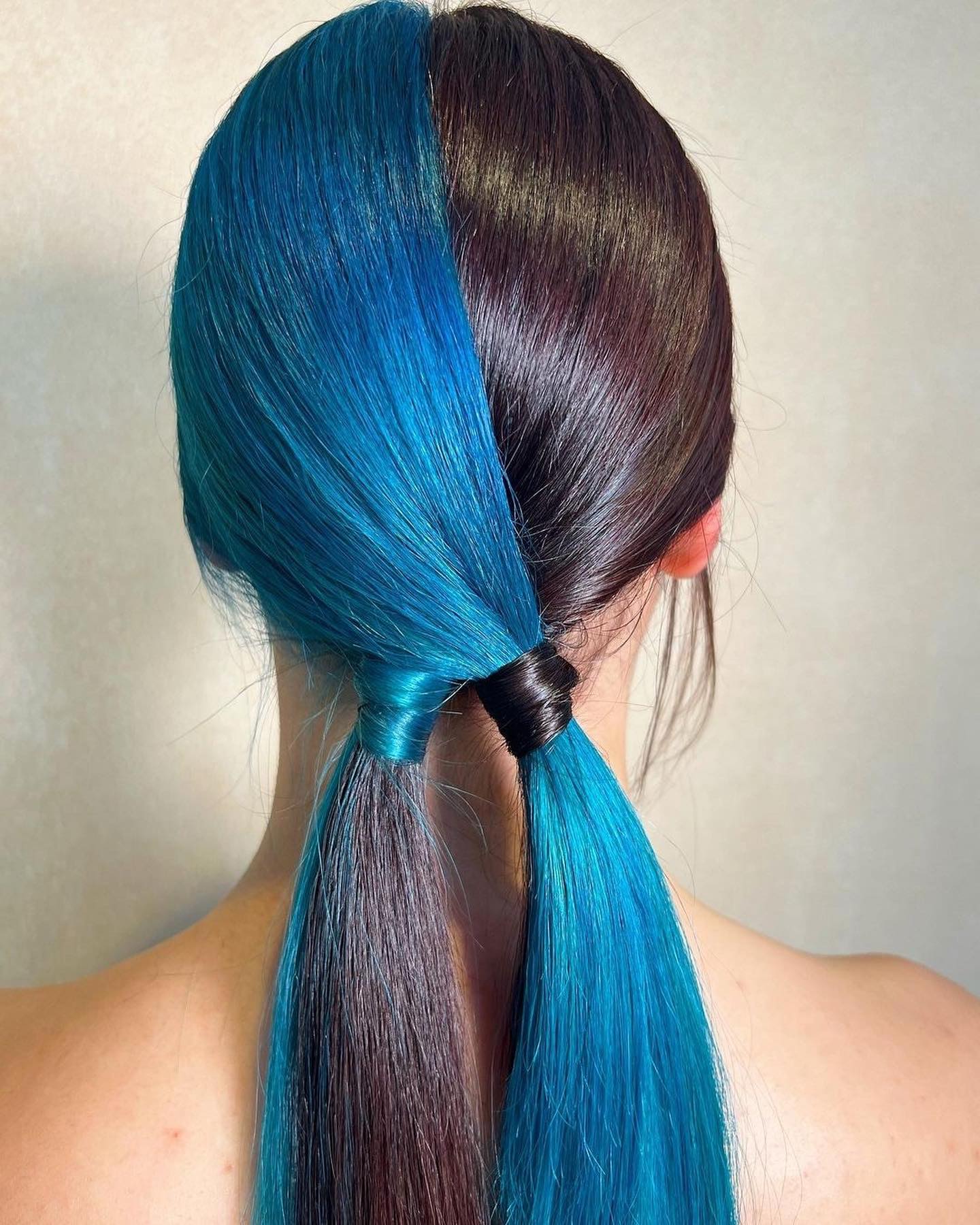 cobalt and chestnut gemini hair