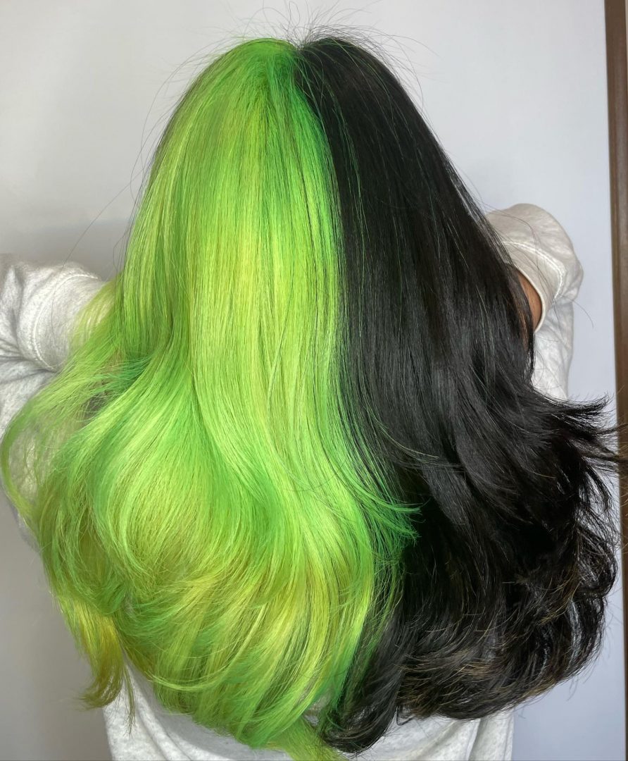 You Can Have It Both Ways With These 25 Gemini Hair Dye Jobs