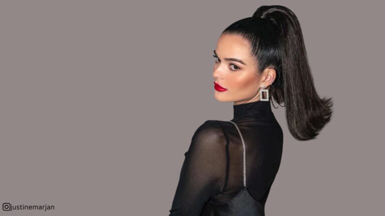 formal ponytail hairstyles