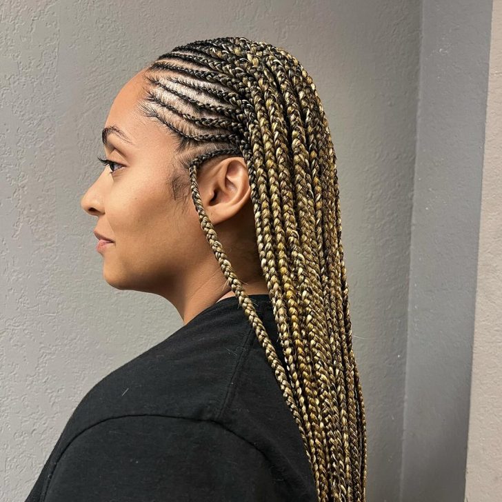 Layered Braids Are Making A Huge Comeback In 2024