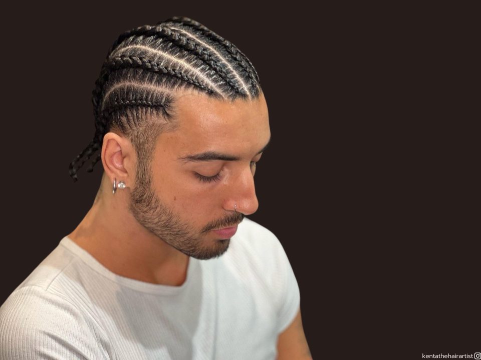 male braids hairstyles