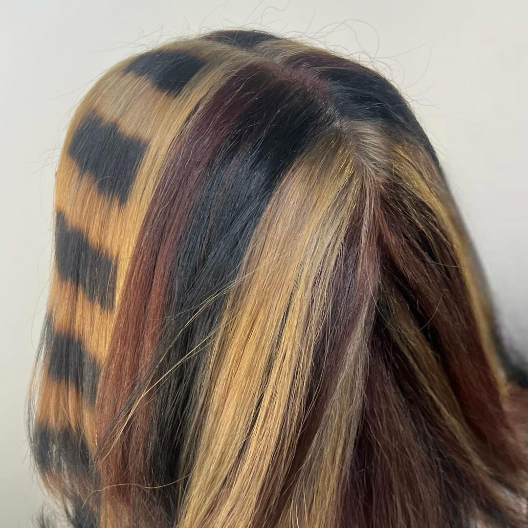 dark calico hair with raccoon tail stripes