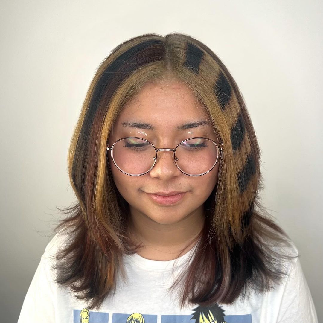 dark calico hair with raccoon tail stripes