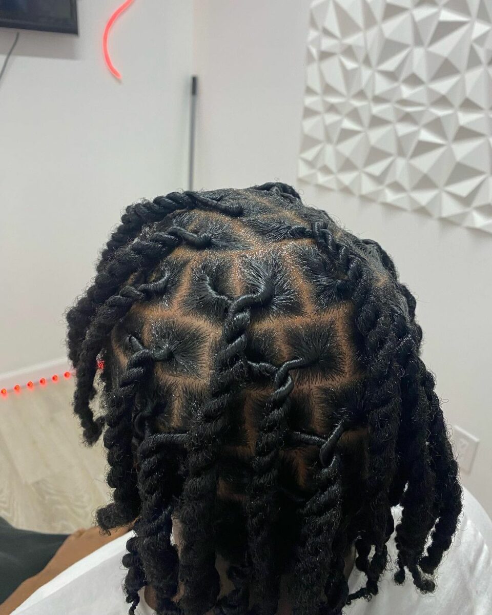 Two Strand Twist Starter Locs On 4c Hair 14 Beautiful Starter Loc Styles For 4C Hair to Start Your Loc Journey Right