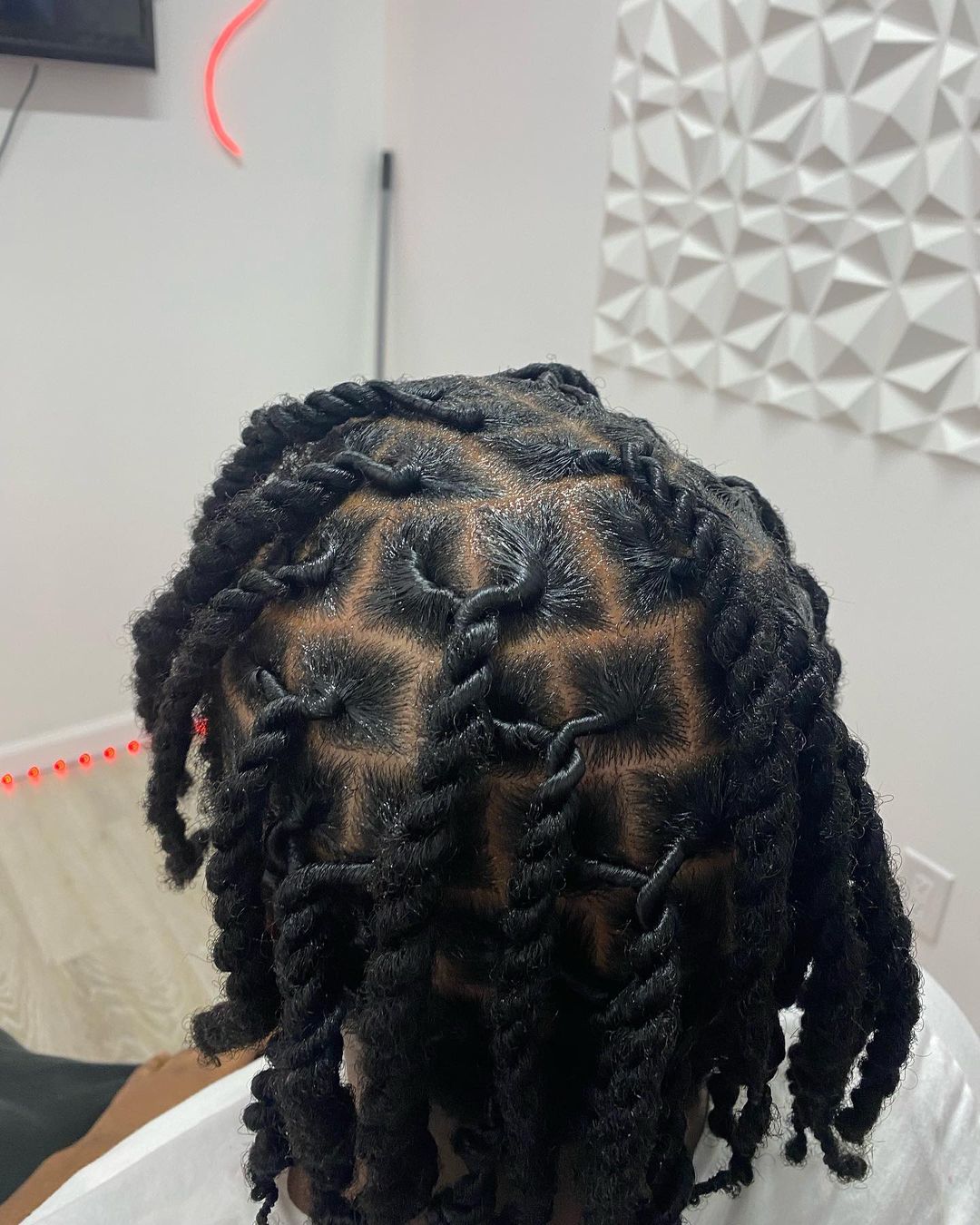 2 strand twists starter locs