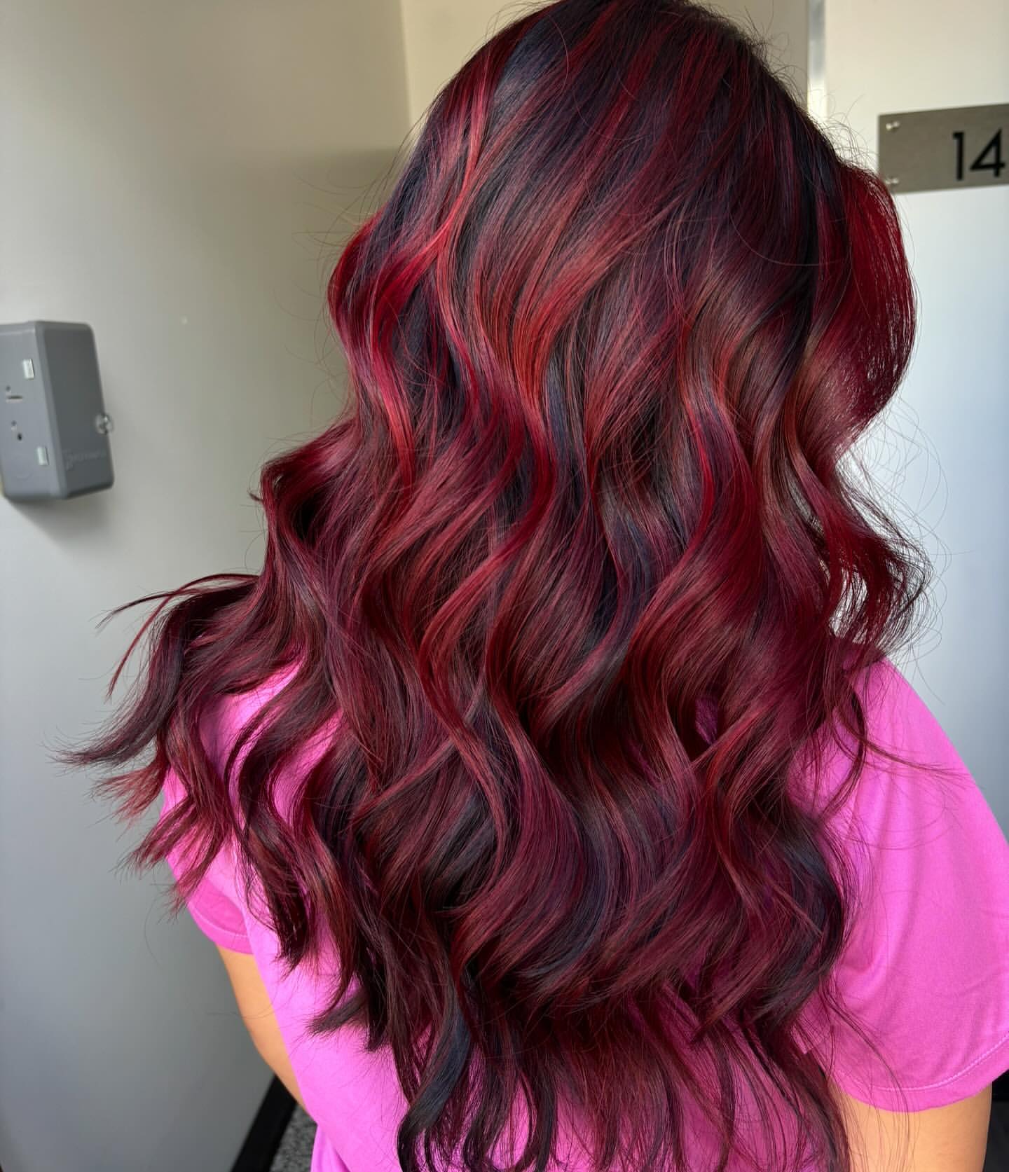 garnet red highlights