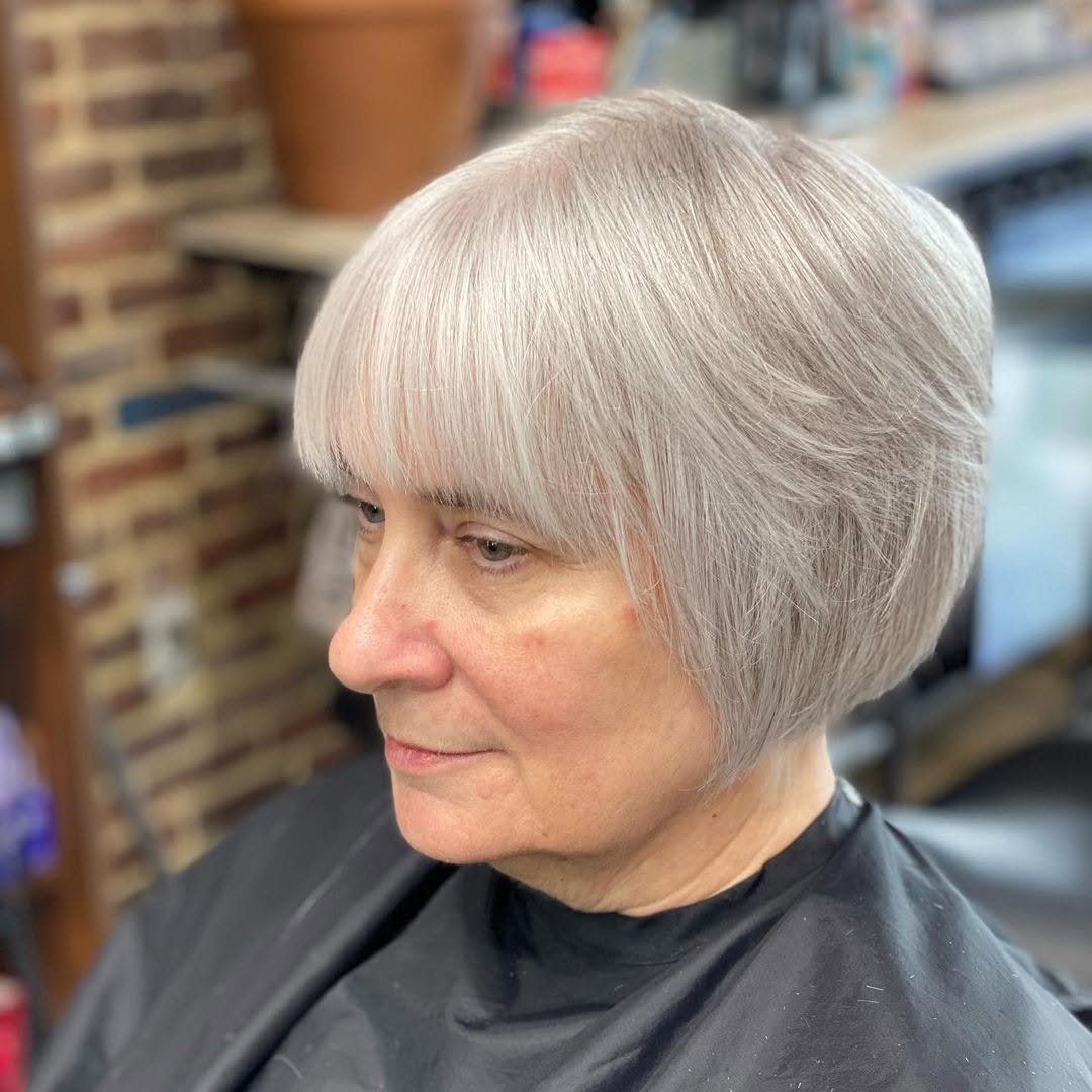 pixie bob grigio