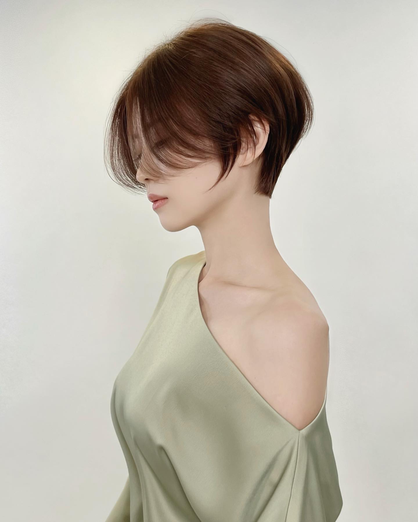 feathered pixie bob