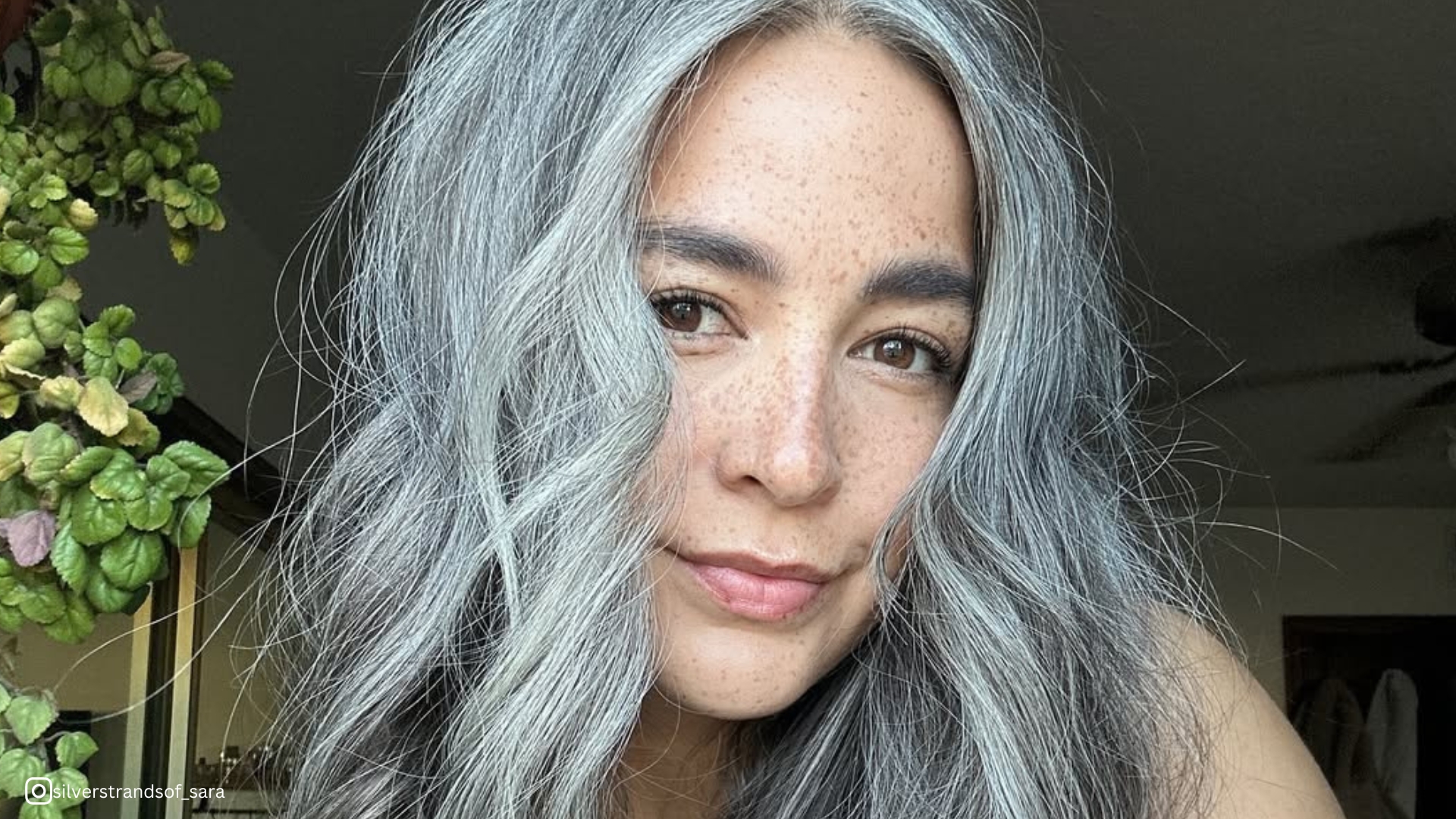 coiffures pour les plus de 50 ans avec des cheveux gris