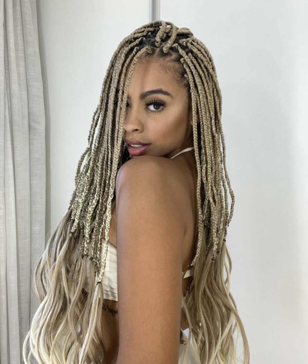  Incredibly Stylish Blonde Box Braids Hairstyles For A Fresh And Modern ...