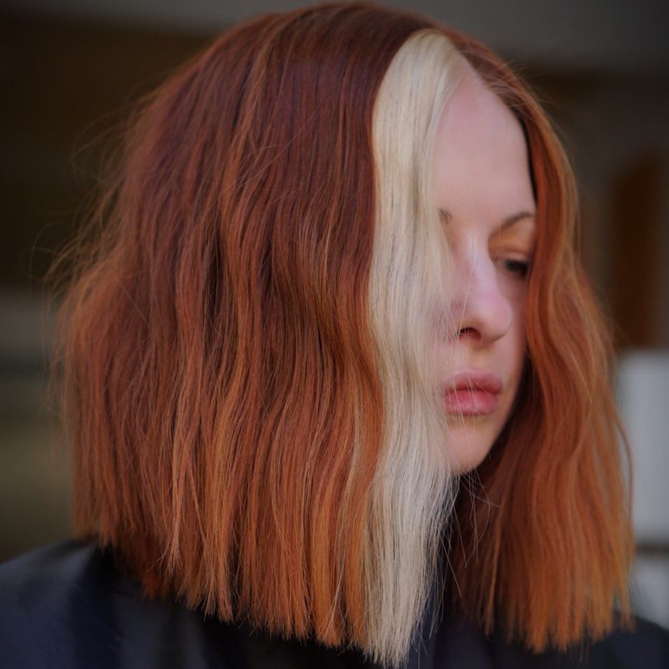 cheveux de la pièce d'argent de l'an 2000