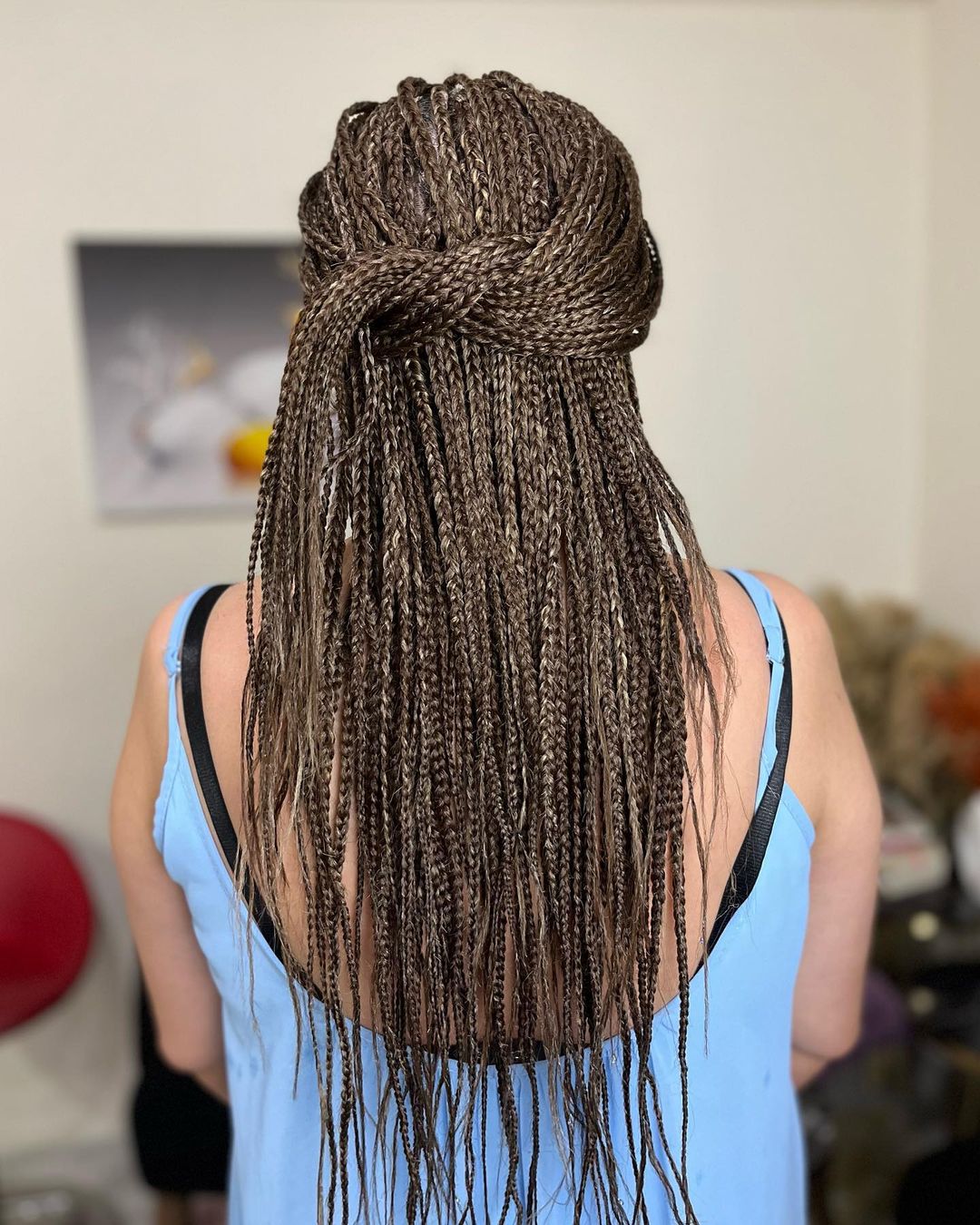 Box Braids Casual Half Updo (Tresses en boîte, demi-monture décontractée)