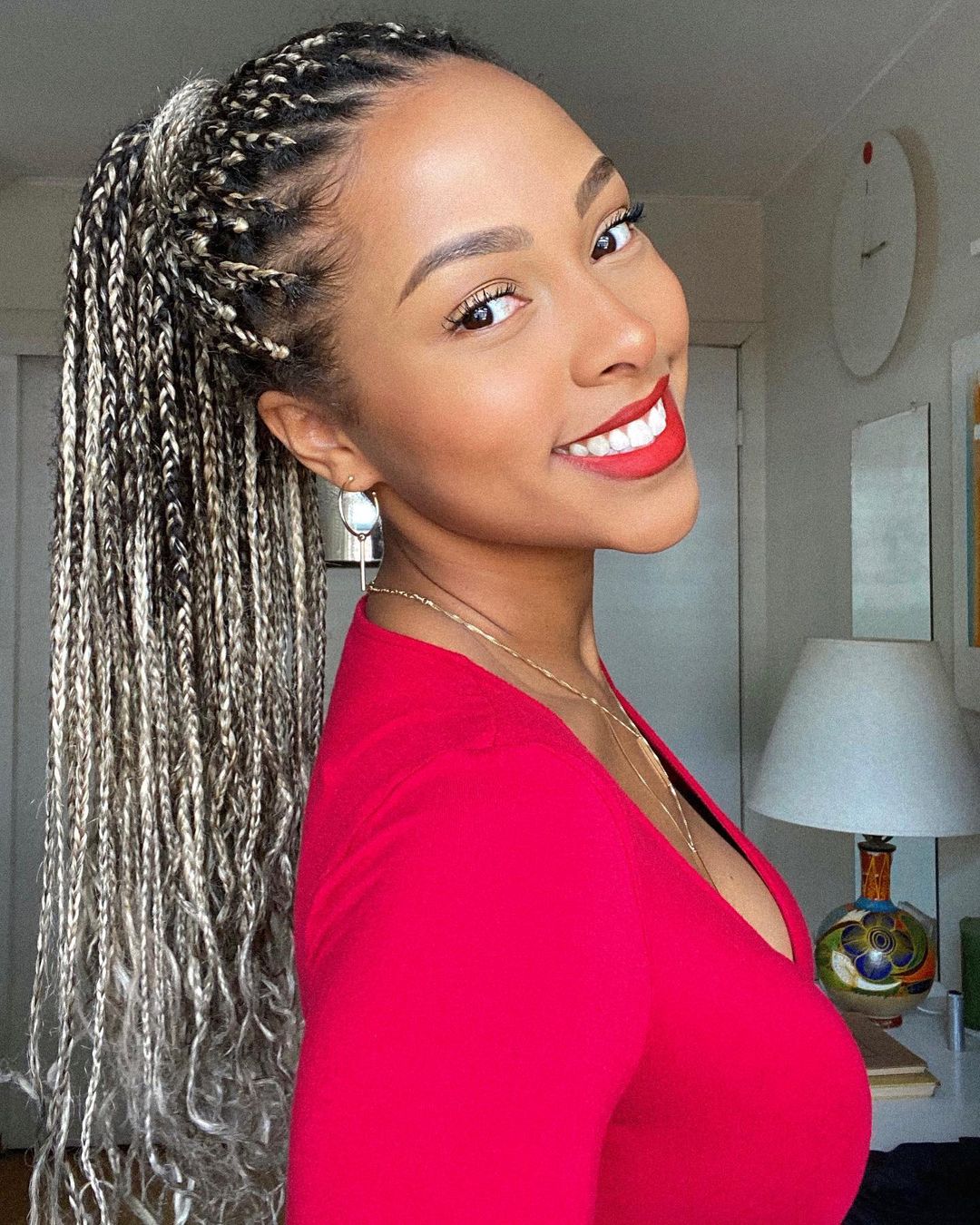 Box Braids Ponytail Hairstyle