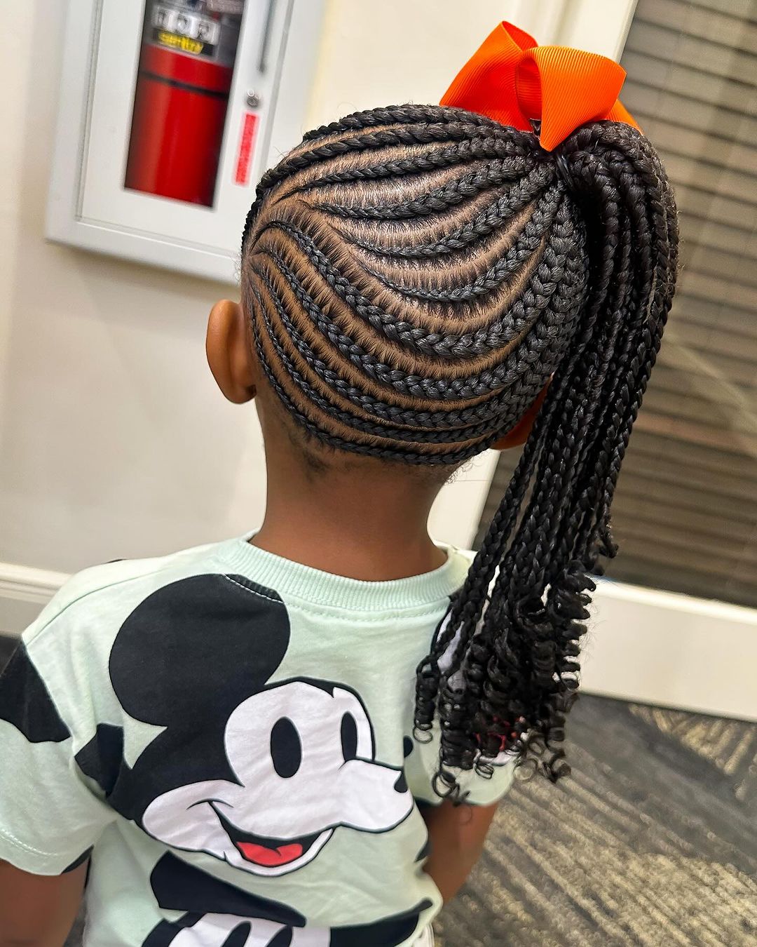 Braided Mixed Baby Hairstyle
