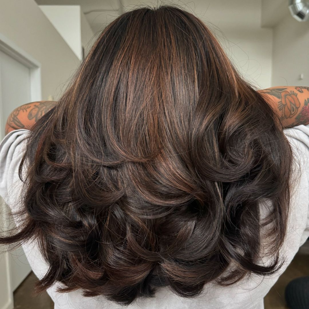 chocolate brown partial highlights