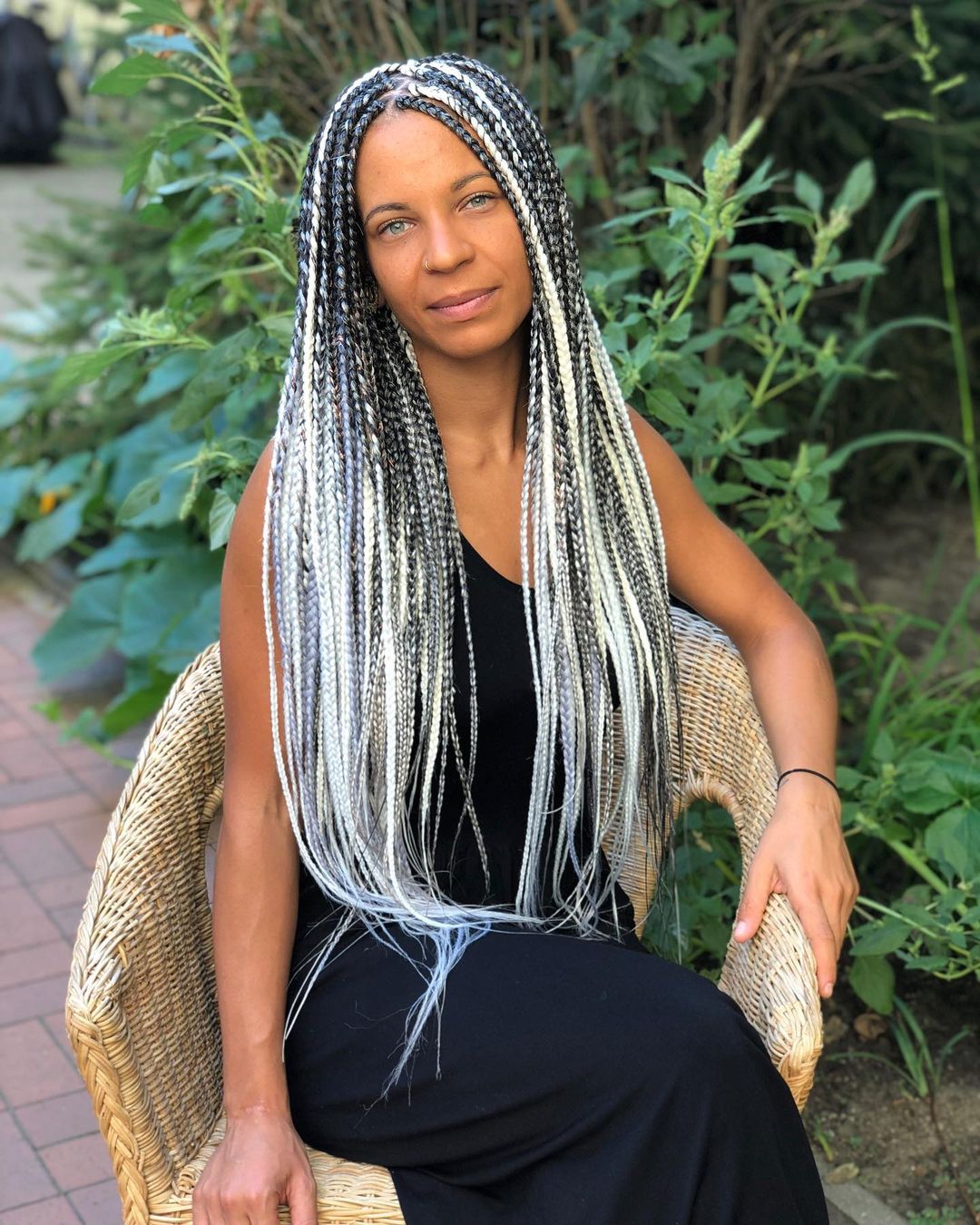 Salt And Pepper Shiny Braids 
