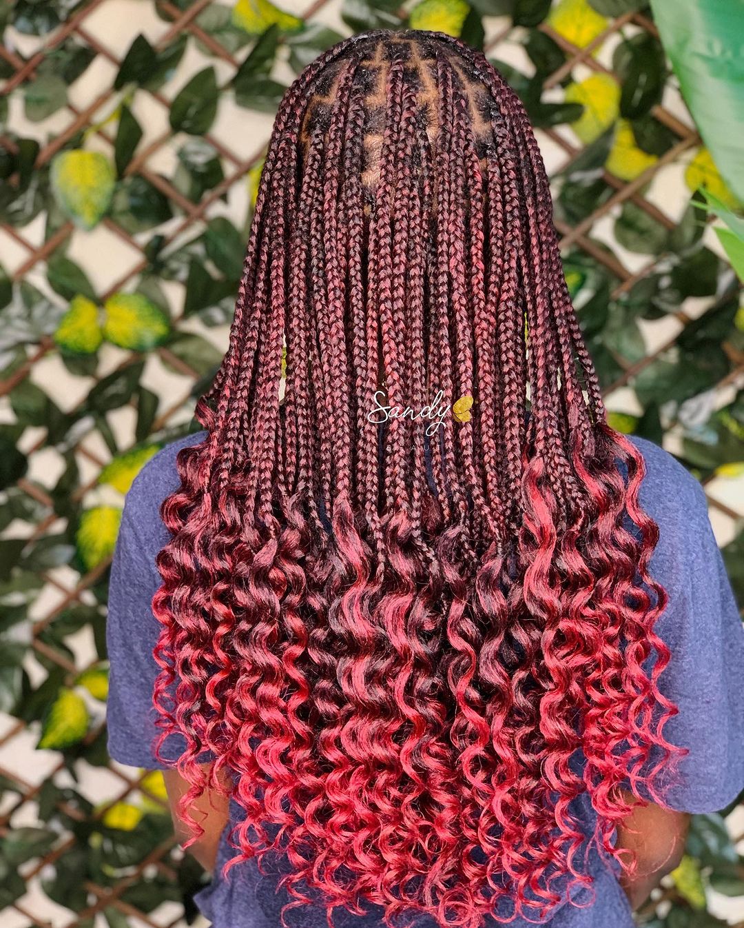 tresses en boîte sans nœuds avec des pointes bouclées