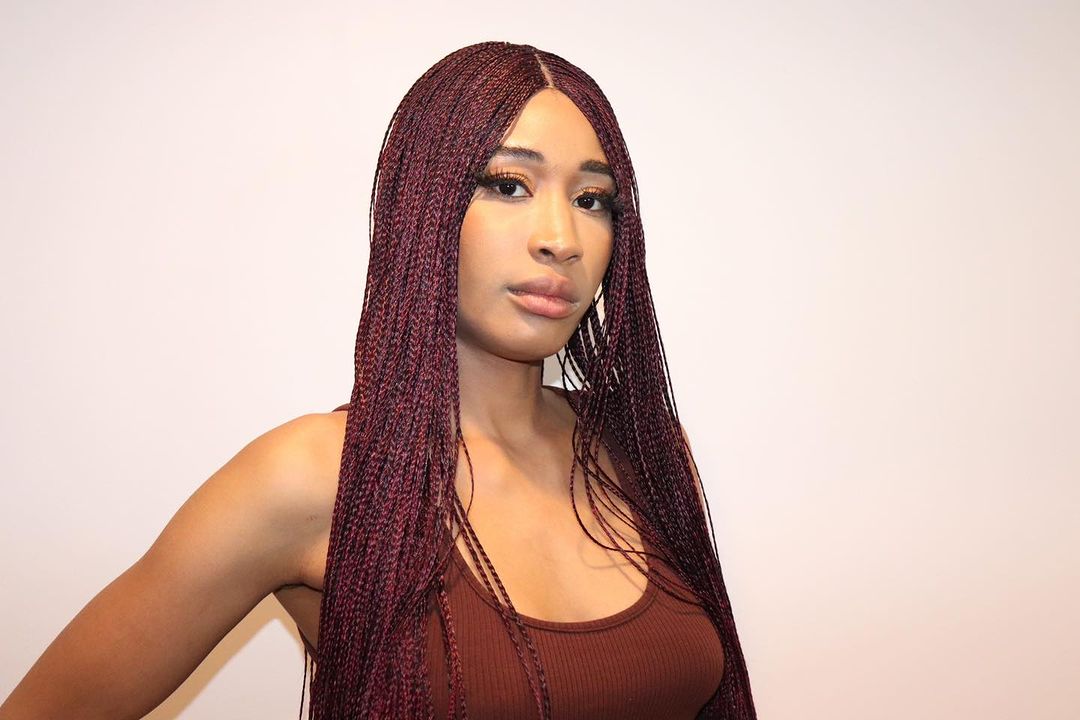 micro burgundy braids