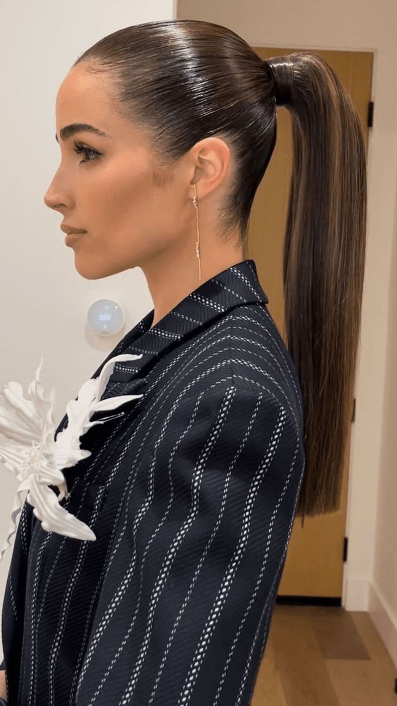 Sleek Ponytail