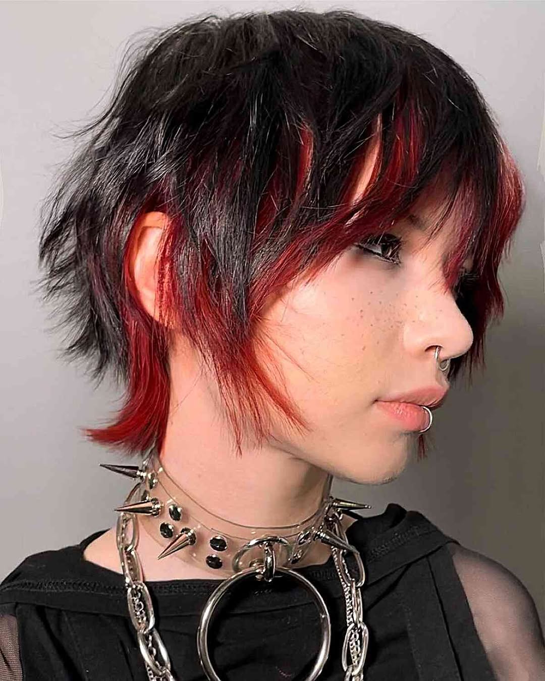 black and red shaggy pixie bob