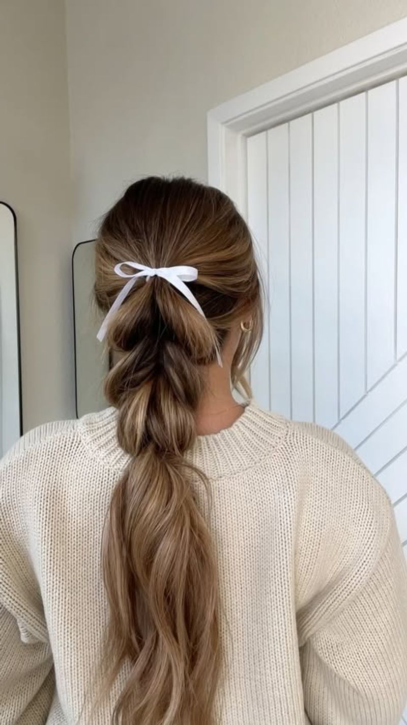 Braided Ponytail