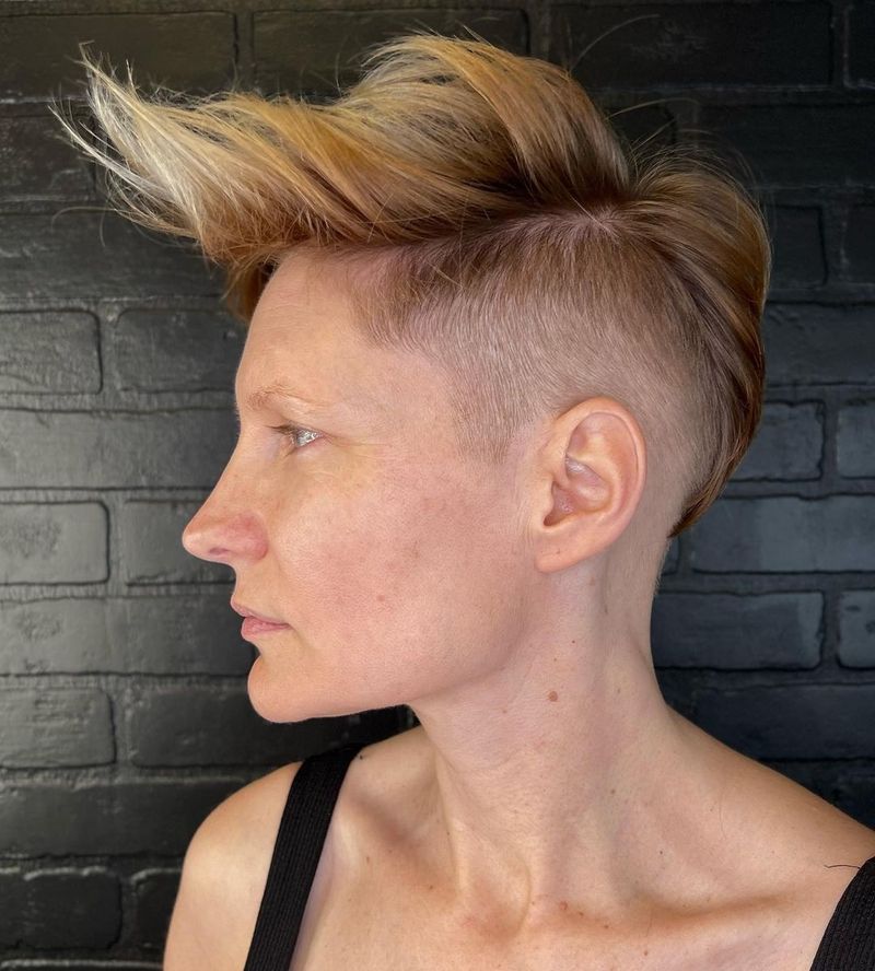 Faux faucon en dessous de la coupe