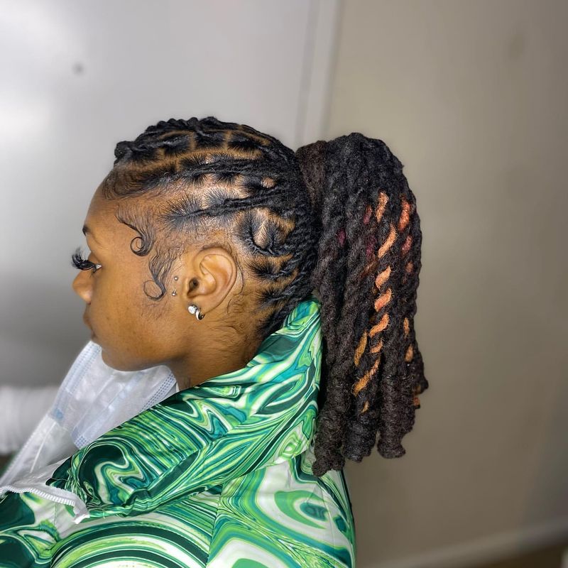 Locs in a High Ponytail