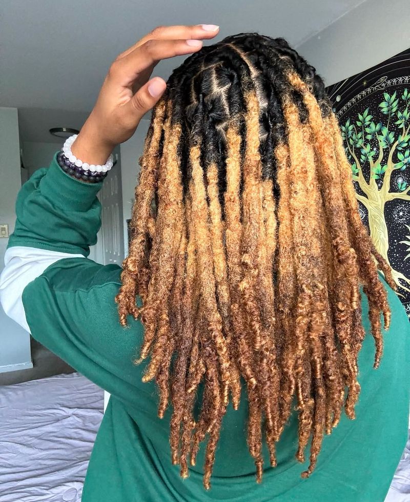 Locs with Ombre Effect