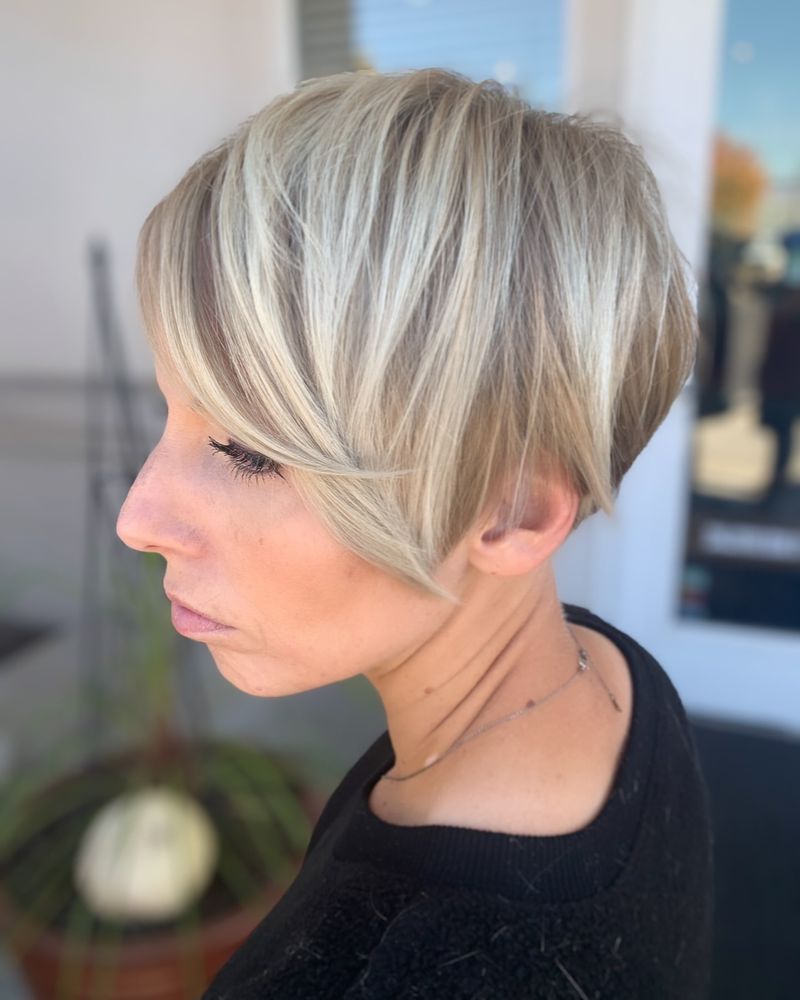 Pixie Bob Fusion