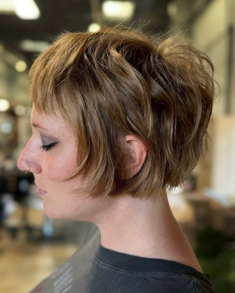 Pixie Bob with Highlights