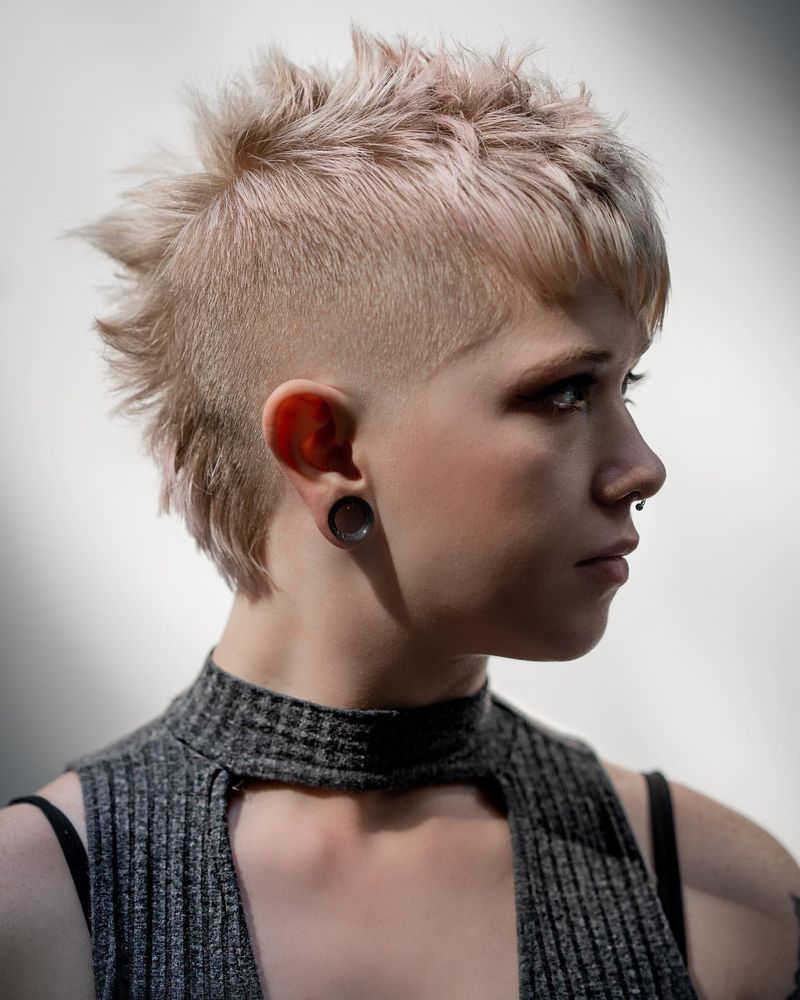 Pixie Hawk