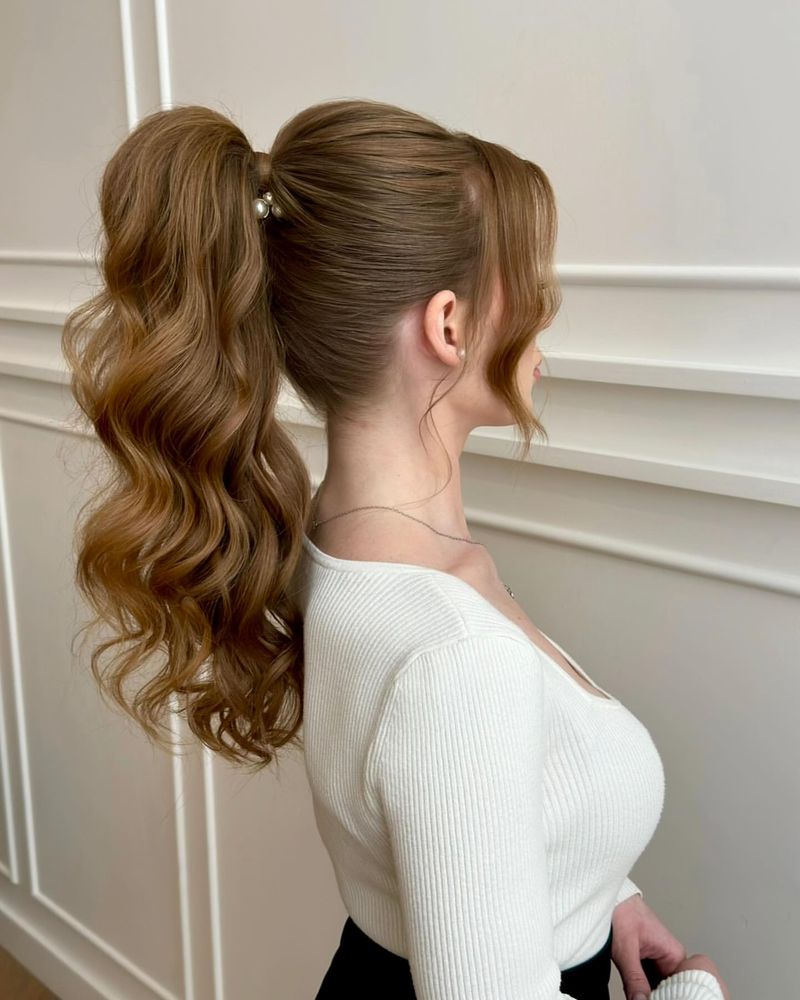 Sleek Ponytail