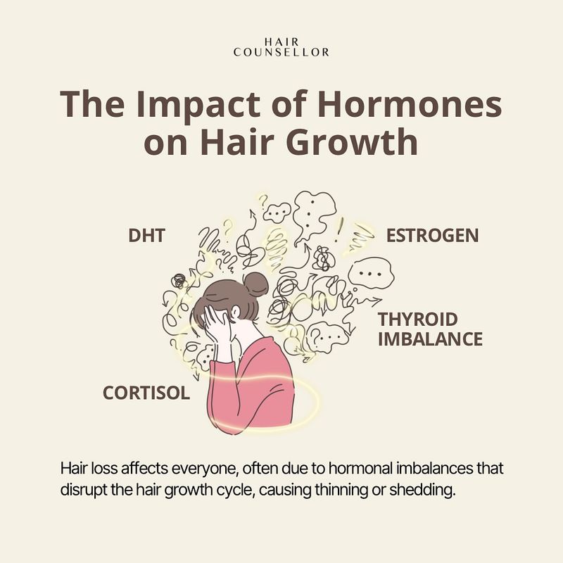 The Relationship Between Hair and Hormones