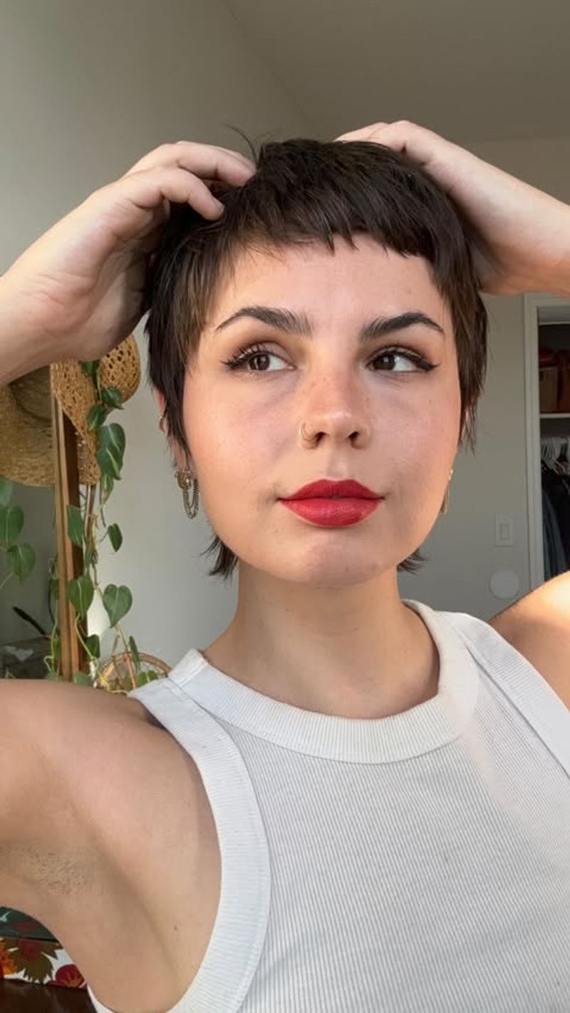 Le Pixie élégant et hirsute