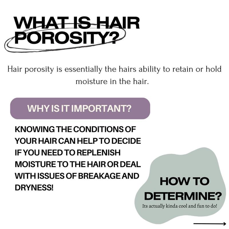 Understanding Hair Porosity