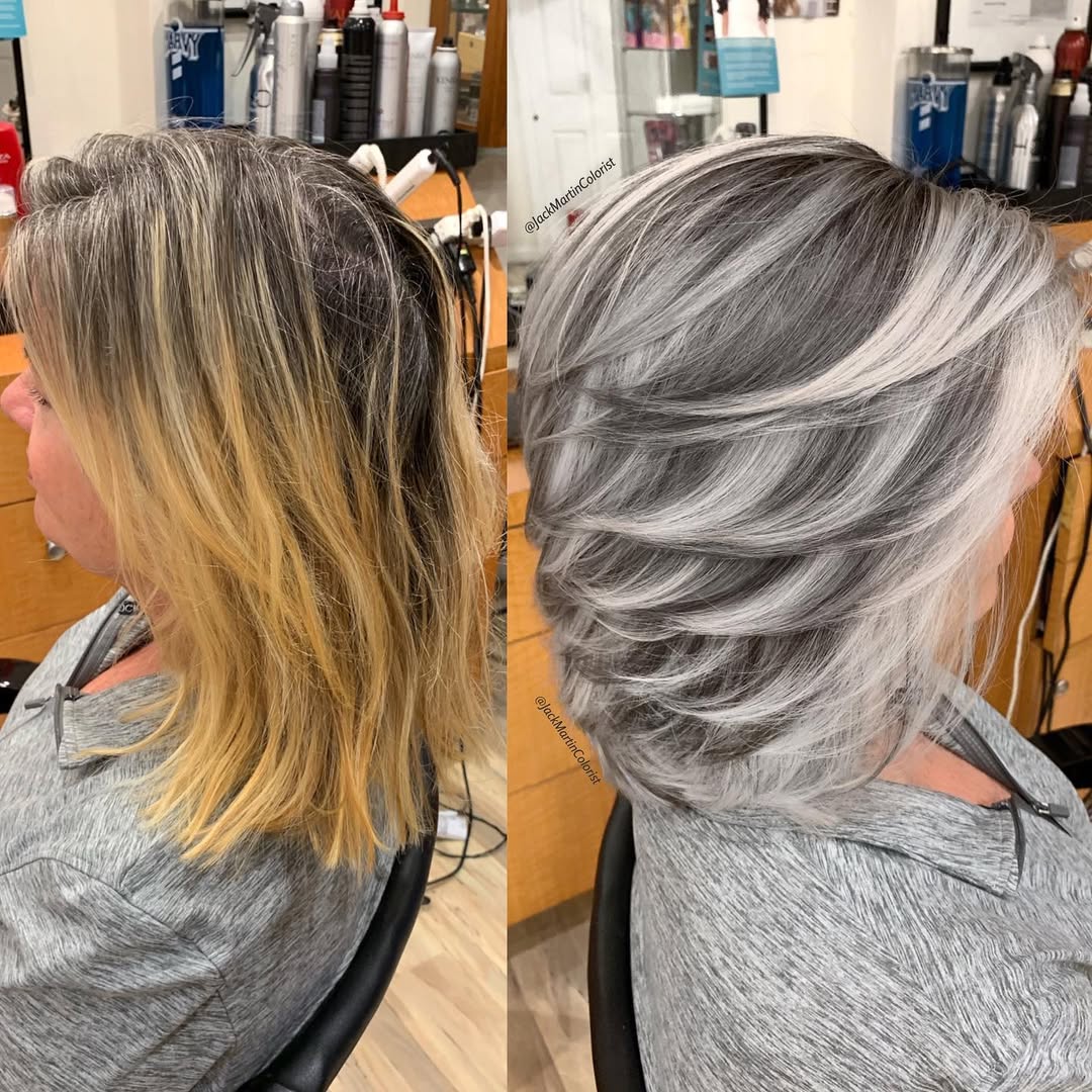 gray to silver highlights