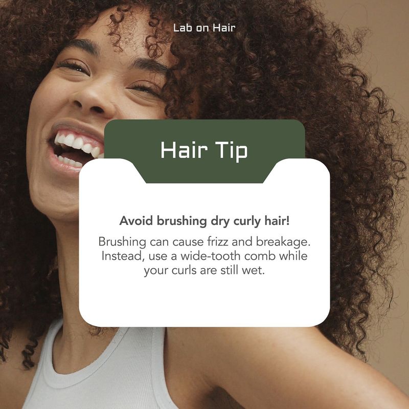 Avoid Brushing Dry Hair