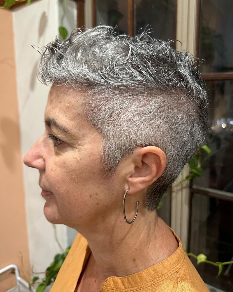 Bold Silver Mohawk