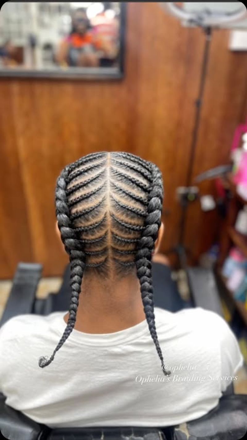 Braided Ponytail Fishbone