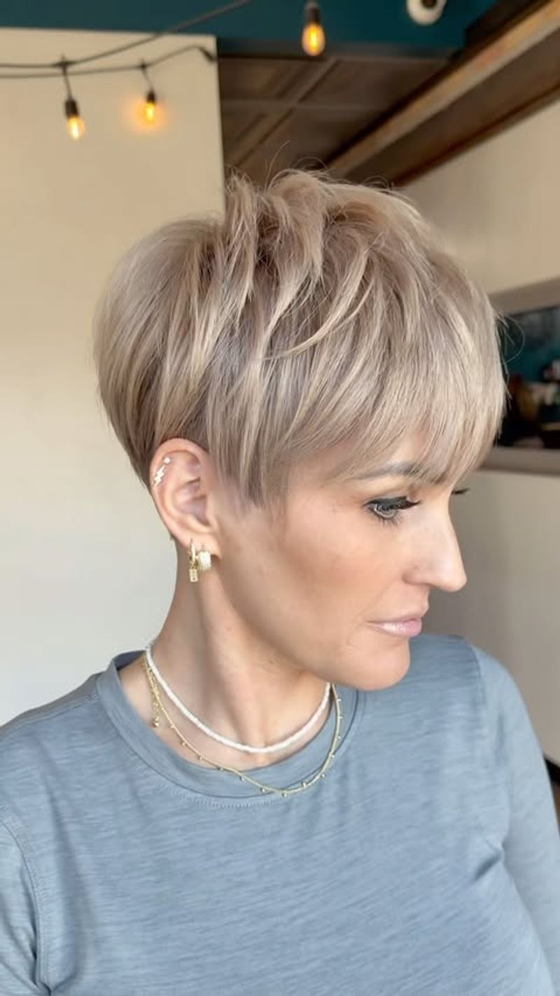 Classic Curved Pixie Bob