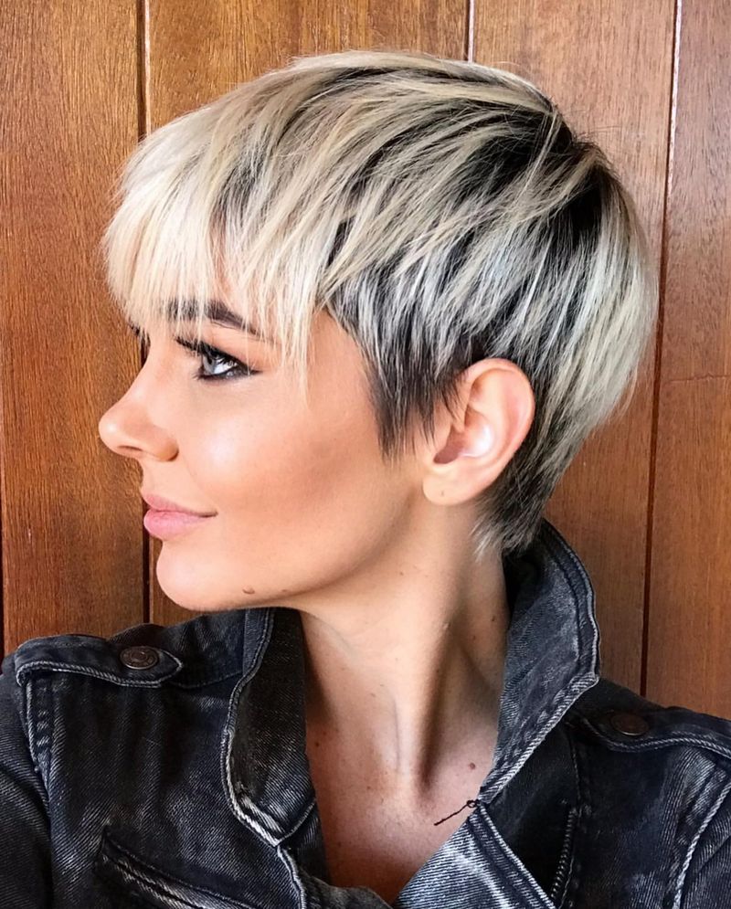 Pixie Bob classico con mèches