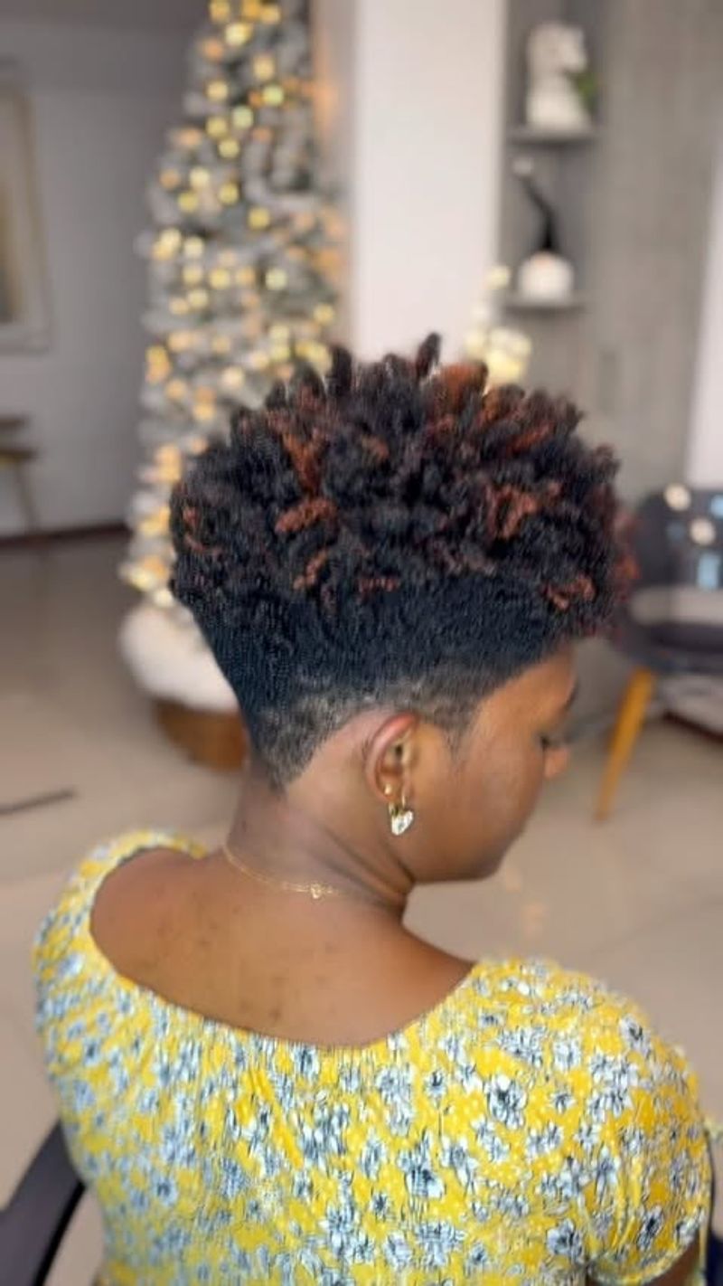 Curly Tapered Cut